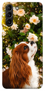 Чохол Flower spaniel для Galaxy S21+