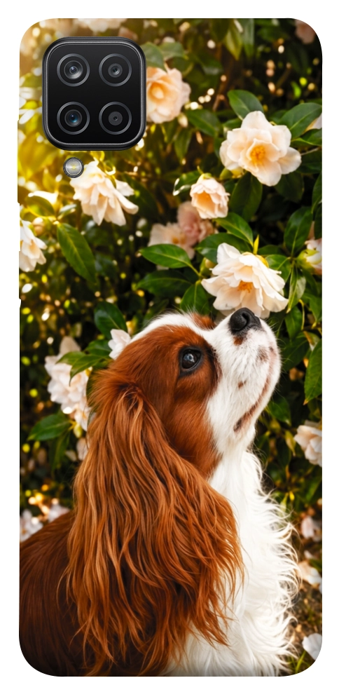 Чехол Flower spaniel для Galaxy A12