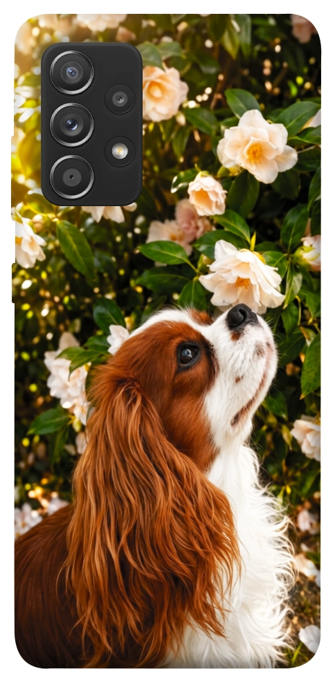 Чехол Flower spaniel для Galaxy A72 5G
