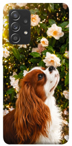 Чехол Flower spaniel для Samsung Galaxy A72 4G