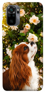 Чохол Flower spaniel для Xiaomi Redmi Note 10S