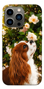 Чохол Flower spaniel для iPhone 13 Pro