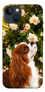 Чехол Flower spaniel для iPhone 13
