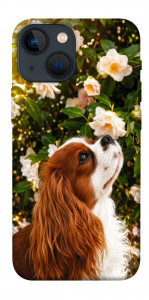 Чехол Flower spaniel для iPhone 13 mini