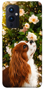 Чехол Flower spaniel для OnePlus 9