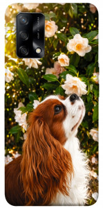 Чохол Flower spaniel для Oppo A74 4G