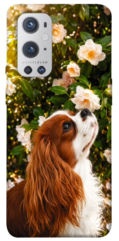 Чохол Flower spaniel для Oneplus 9 pro