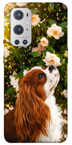 Чохол Flower spaniel для Oneplus 9 pro