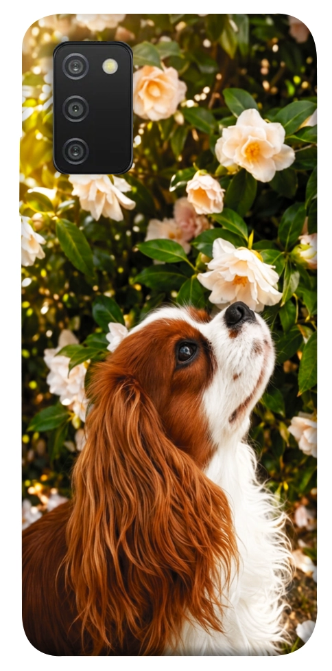 Чохол Flower spaniel для Galaxy A03s