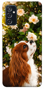 Чехол Flower spaniel для Galaxy M52