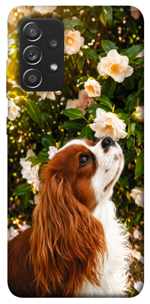 Чехол Flower spaniel для Galaxy A52s