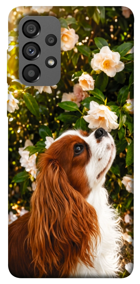Чехол Flower spaniel для Galaxy A73 5G