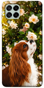 Чохол Flower spaniel для Galaxy M53