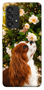 Чехол Flower spaniel для Galaxy A53