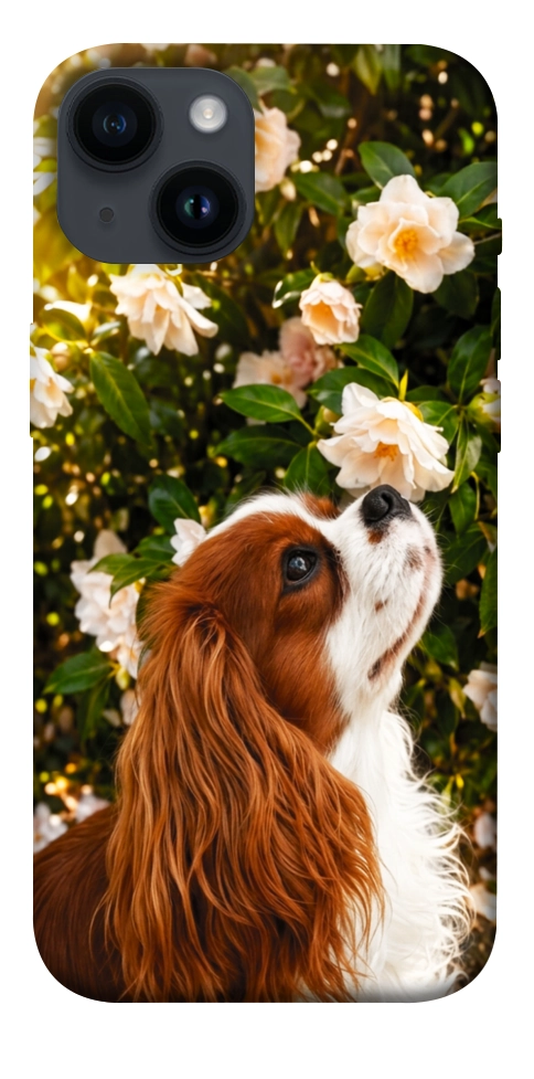 Чохол Flower spaniel для iPhone 14
