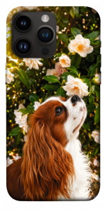 Чехол Flower spaniel для iPhone 14 Pro Max