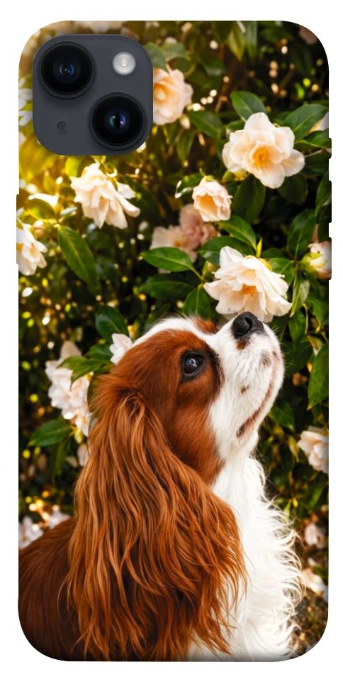 Чехол Flower spaniel для iPhone 14 Plus