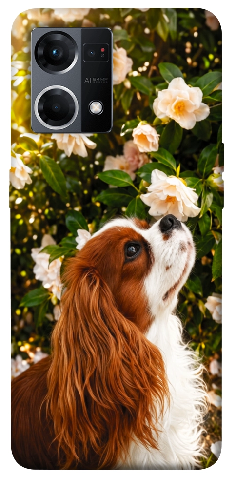 Чохол Flower spaniel для Oppo Reno 7 4G