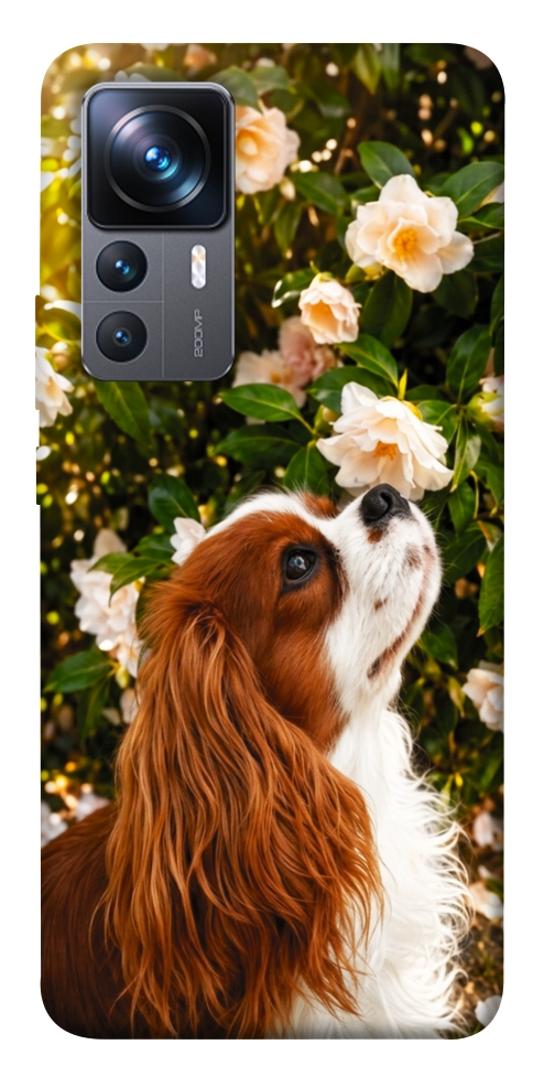 Чехол Flower spaniel для Xiaomi 12T