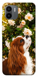 Чехол Flower spaniel для Xiaomi Redmi A1