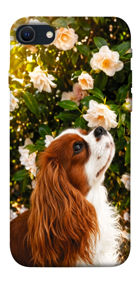 Чехол Flower spaniel для iPhone SE (2022)