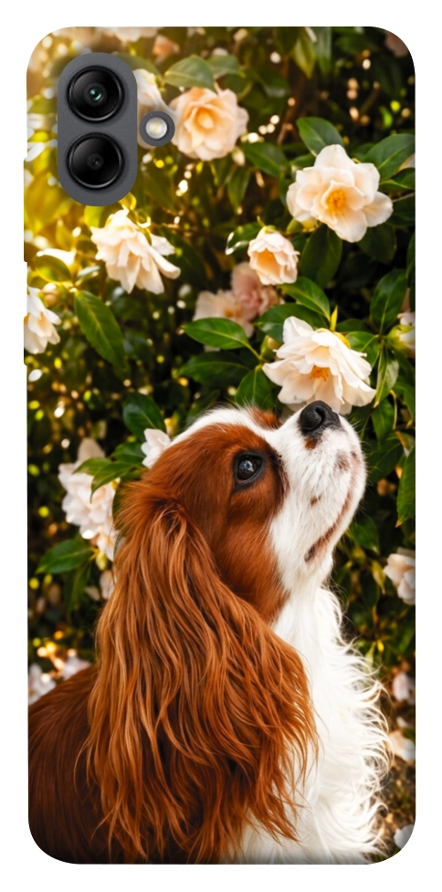 Чехол Flower spaniel для Galaxy A04