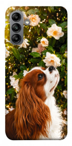 Чохол Flower spaniel для Galaxy A04s