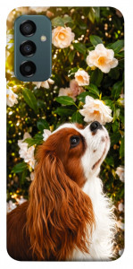 Чехол Flower spaniel для Galaxy M13 4G