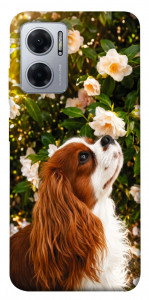 Чехол Flower spaniel для Xiaomi Redmi Note 11E