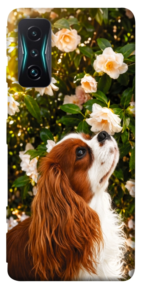 Чехол Flower spaniel для Xiaomi Redmi K50 Gaming