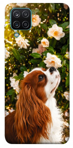 Чехол Flower spaniel для Galaxy M12