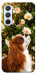 Чехол Flower spaniel для Galaxy A54 5G