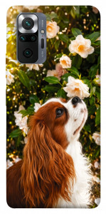 Чохол Flower spaniel для Xiaomi Redmi Note 10 Pro Max