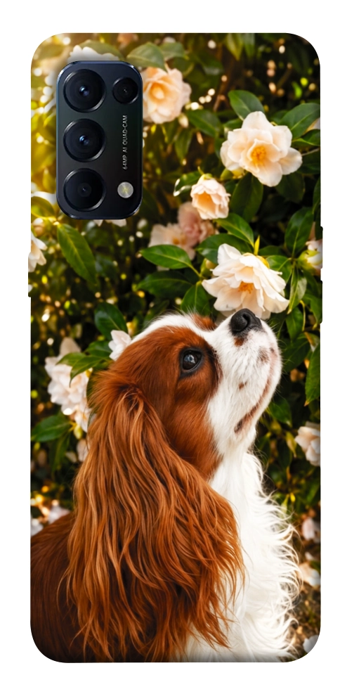 Чохол Flower spaniel для Oppo Reno 5 4G