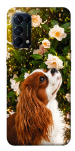 Чохол Flower spaniel для Oppo Reno 5 4G