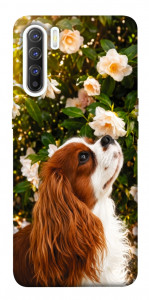 Чехол Flower spaniel для Oppo Reno 3