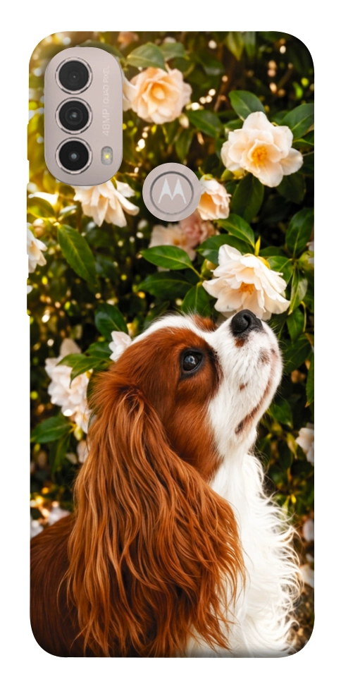 Чехол Flower spaniel для Motorola Moto E40