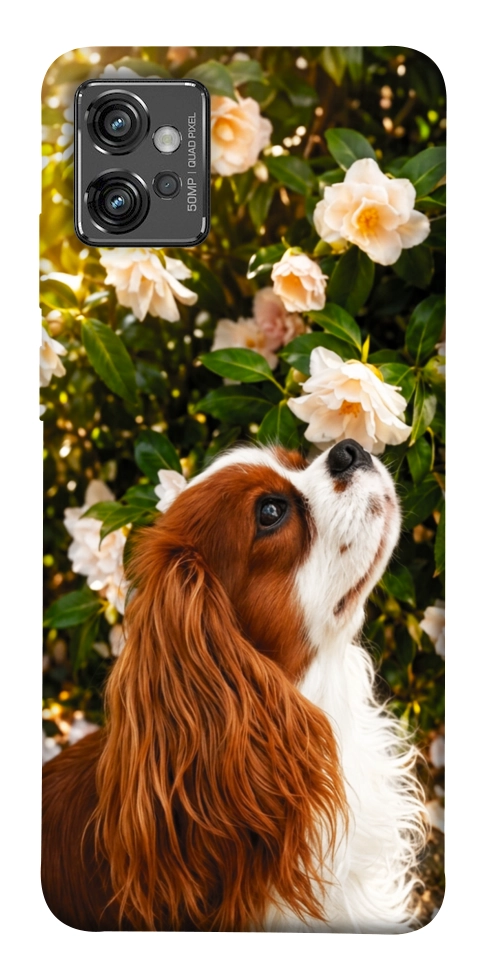 Чехол Flower spaniel для Motorola Moto G32