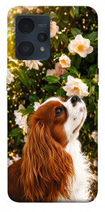 Чехол Flower spaniel для Realme 9 Pro+