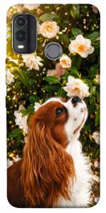 Чохол Flower spaniel для Nokia G11 Plus