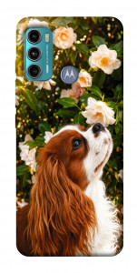 Чохол Flower spaniel для Motorola Moto G60