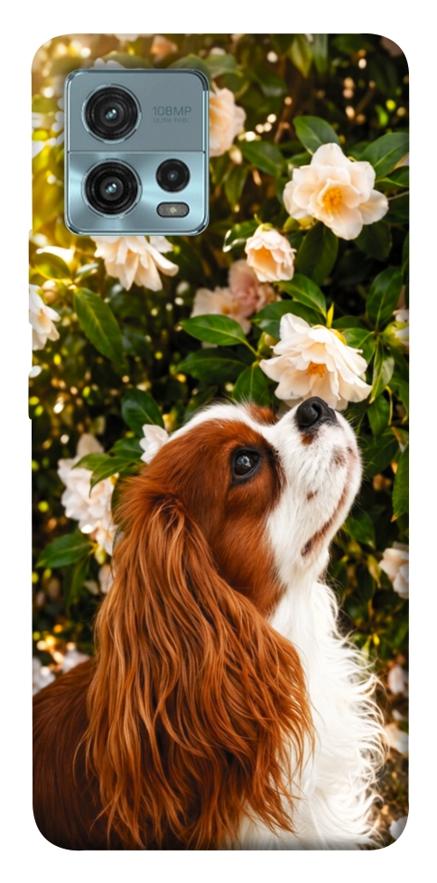 Чохол Flower spaniel для Motorola Moto G72