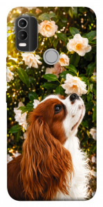 Чохол Flower spaniel для Nokia C21 Plus
