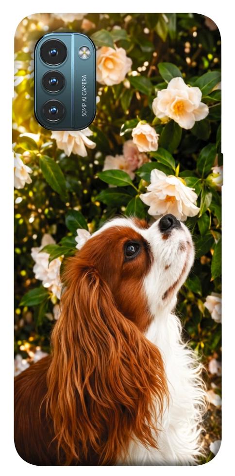 Чехол Flower spaniel для Nokia G21