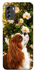 Чохол Flower spaniel для Nokia G60