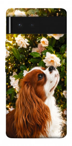 Чехол Flower spaniel для Google Pixel 6