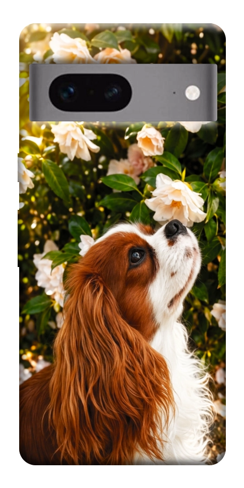 Чохол Flower spaniel для Google Pixel 7