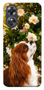 Чехол Flower spaniel для Oppo A17