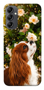 Чохол Flower spaniel для Galaxy A14