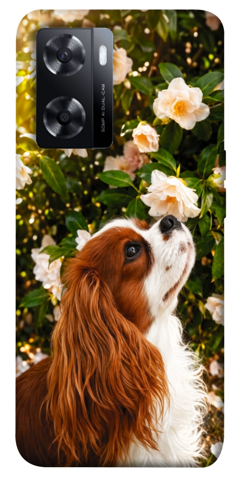Чехол Flower spaniel для Oppo A77s